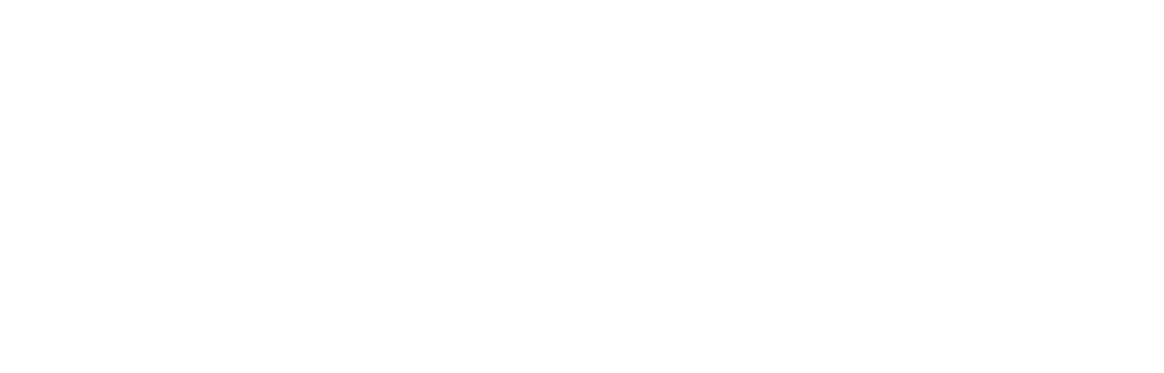 Iris Viejo Logo